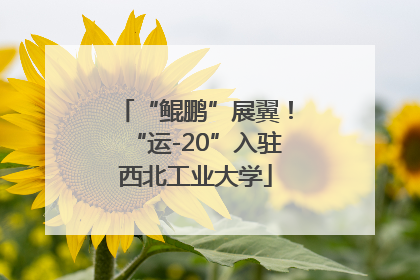 “鲲鹏”展翼！“运-20”入驻西北工业大学