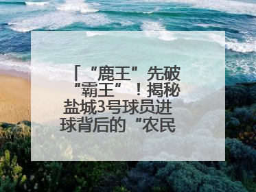 “鹿王”先破“霸王”！揭秘盐城3号球员进球背后的“农民街游侠”联盟