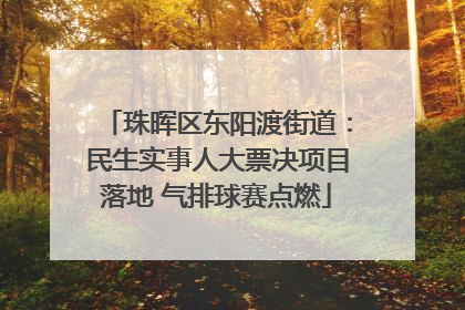 珠晖区东阳渡街道：民生实事人大票决项目落地 气排球赛点燃