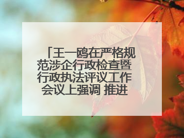 王一鸥在严格规范涉企行政检查暨行政执法评议工作会议上强调 推进涉企行政检查质效大幅提升