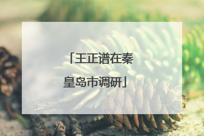 王正谱在秦皇岛市调研