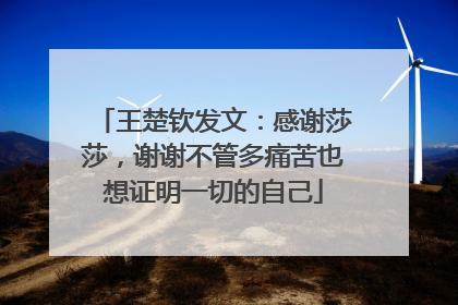 王楚钦发文：感谢莎莎，谢谢不管多痛苦也想证明一切的自己