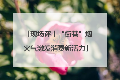 现场评丨“街巷”烟火气激发消费新活力