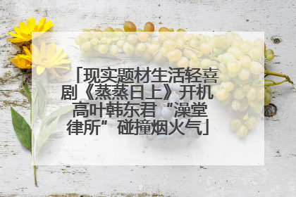 现实题材生活轻喜剧《蒸蒸日上》开机 高叶韩东君“澡堂律所”碰撞烟火气