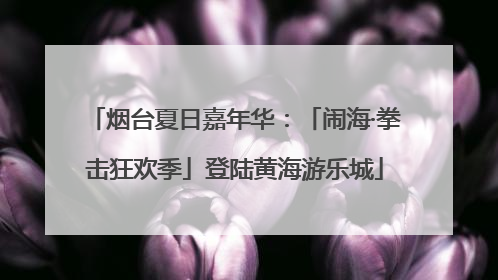 烟台夏日嘉年华：「闹海·拳击狂欢季」登陆黄海游乐城