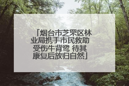 烟台市芝罘区林业局携手市民救助受伤牛背鹭 待其康复后放归自然