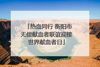 热血同行 衡阳市无偿献血者联谊迎接世界献血者日