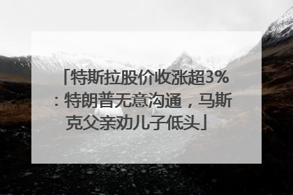 特斯拉股价收涨超3%：特朗普无意沟通，马斯克父亲劝儿子低头