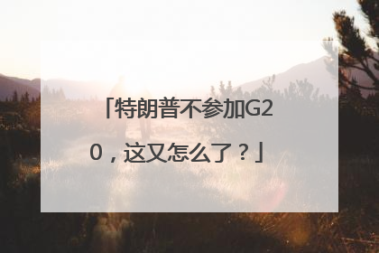 特朗普不参加G20，这又怎么了？