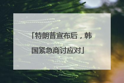 特朗普宣布后，韩国紧急商讨应对
