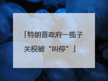 特朗普政府一揽子关税被“叫停”