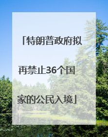 特朗普政府拟再禁止36个国家的公民入境
