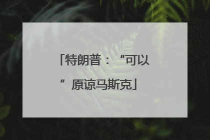 特朗普：“可以”原谅马斯克