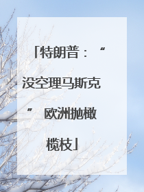 特朗普：“没空理马斯克” 欧洲抛橄榄枝