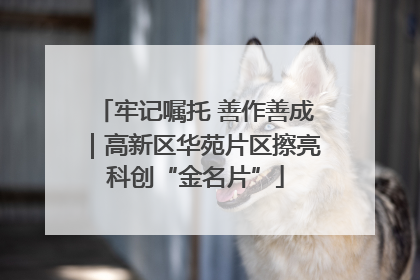 牢记嘱托 善作善成｜高新区华苑片区擦亮科创“金名片”