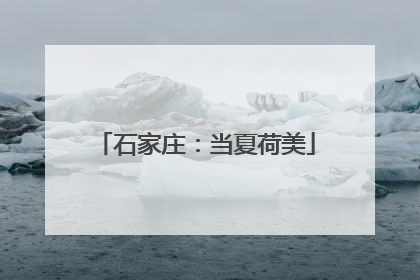 石家庄：当夏荷美