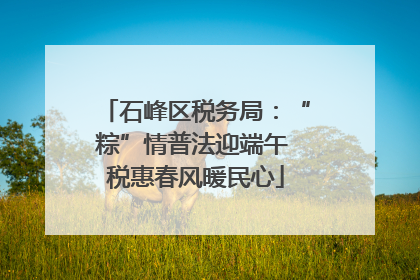 石峰区税务局：“粽”情普法迎端午 税惠春风暖民心