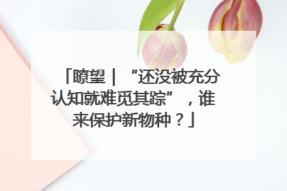 瞭望｜“还没被充分认知就难觅其踪”，谁来保护新物种？