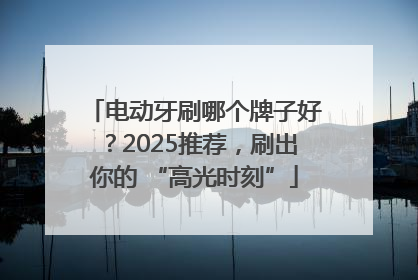 电动牙刷哪个牌子好？2025推荐，刷出你的 “高光时刻”