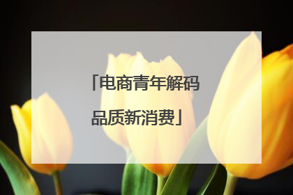 电商青年解码品质新消费