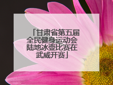 甘肃省第五届全民健身运动会陆地冰壶比赛在武威开赛