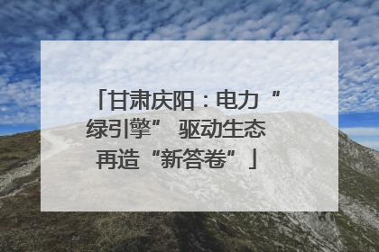 甘肃庆阳：电力“绿引擎” 驱动生态再造“新答卷”