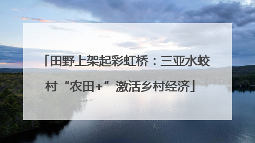 田野上架起彩虹桥：三亚水蛟村“农田+”激活乡村经济