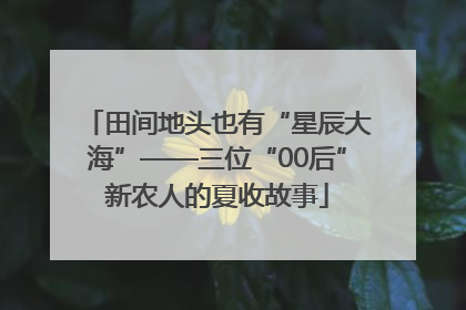 田间地头也有“星辰大海”——三位“00后”新农人的夏收故事