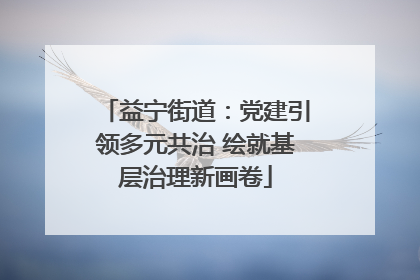 益宁街道：党建引领多元共治 绘就基层治理新画卷