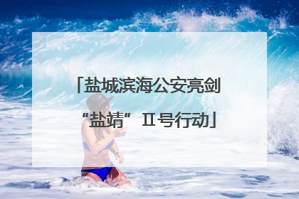 盐城滨海公安亮剑“盐靖”Ⅱ号行动