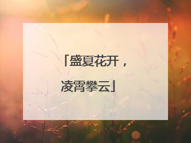 盛夏花开，凌霄攀云