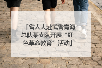省人大赴武警青海总队某支队开展“红色革命教育”活动