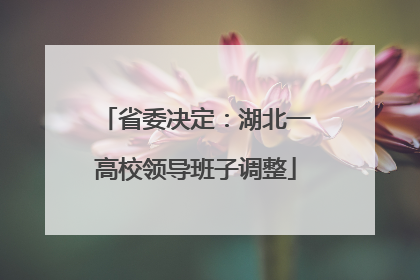 省委决定：湖北一高校领导班子调整