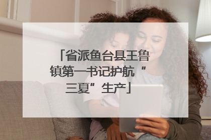省派鱼台县王鲁镇第一书记护航“三夏”生产