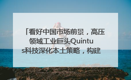 看好中国市场前景，高压领域工业巨头Quintus科技深化本土策略，构建全方位服务亚太区总部