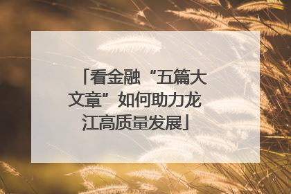 看金融“五篇大文章”如何助力龙江高质量发展