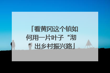 看黄冈这个镇如何用一片叶子“沏”出乡村振兴路