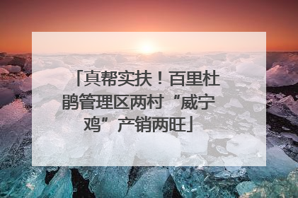 真帮实扶！百里杜鹃管理区两村“威宁鸡”产销两旺