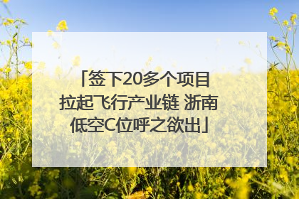 签下20多个项目 拉起飞行产业链 浙南低空C位呼之欲出