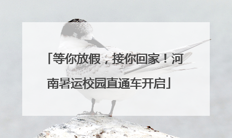 等你放假，接你回家！河南暑运校园直通车开启