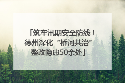 筑牢汛期安全防线！德州深化“桥河共治”整改隐患50余处