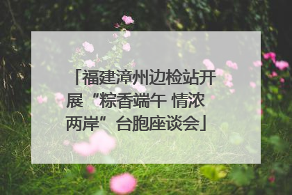 福建漳州边检站开展“粽香端午 情浓两岸”台胞座谈会
