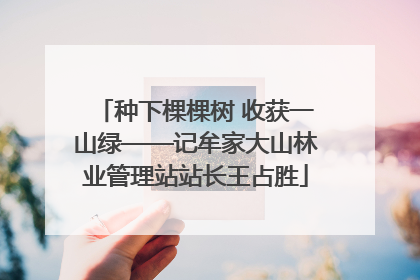 种下棵棵树 收获一山绿——记牟家大山林业管理站站长王占胜