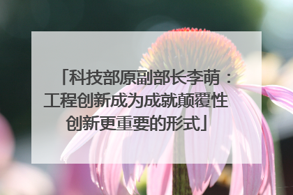 科技部原副部长李萌：工程创新成为成就颠覆性创新更重要的形式
