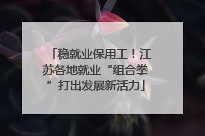 稳就业保用工！江苏各地就业“组合拳”打出发展新活力