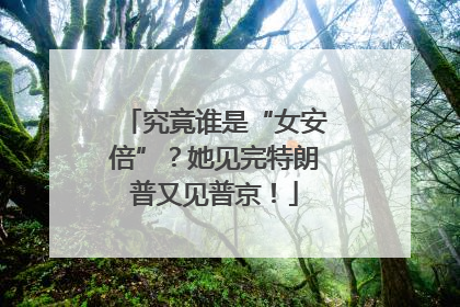 究竟谁是“女安倍”？她见完特朗普又见普京！