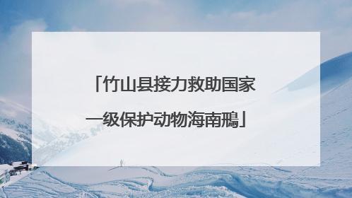 竹山县接力救助国家一级保护动物海南鳽