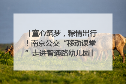 童心筑梦，粽情出行！南京公交“移动课堂”走进智通路幼儿园