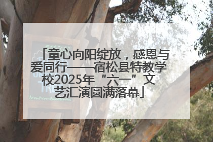 童心向阳绽放，感恩与爱同行——宿松县特教学校2025年“六一”文艺汇演圆满落幕