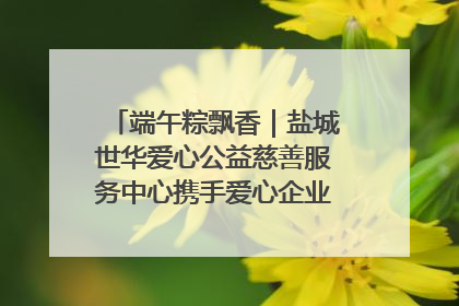 端午粽飘香｜盐城世华爱心公益慈善服务中心携手爱心企业发起情暖“城市守护者”慰问活动